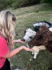 Gentle and loved the treats