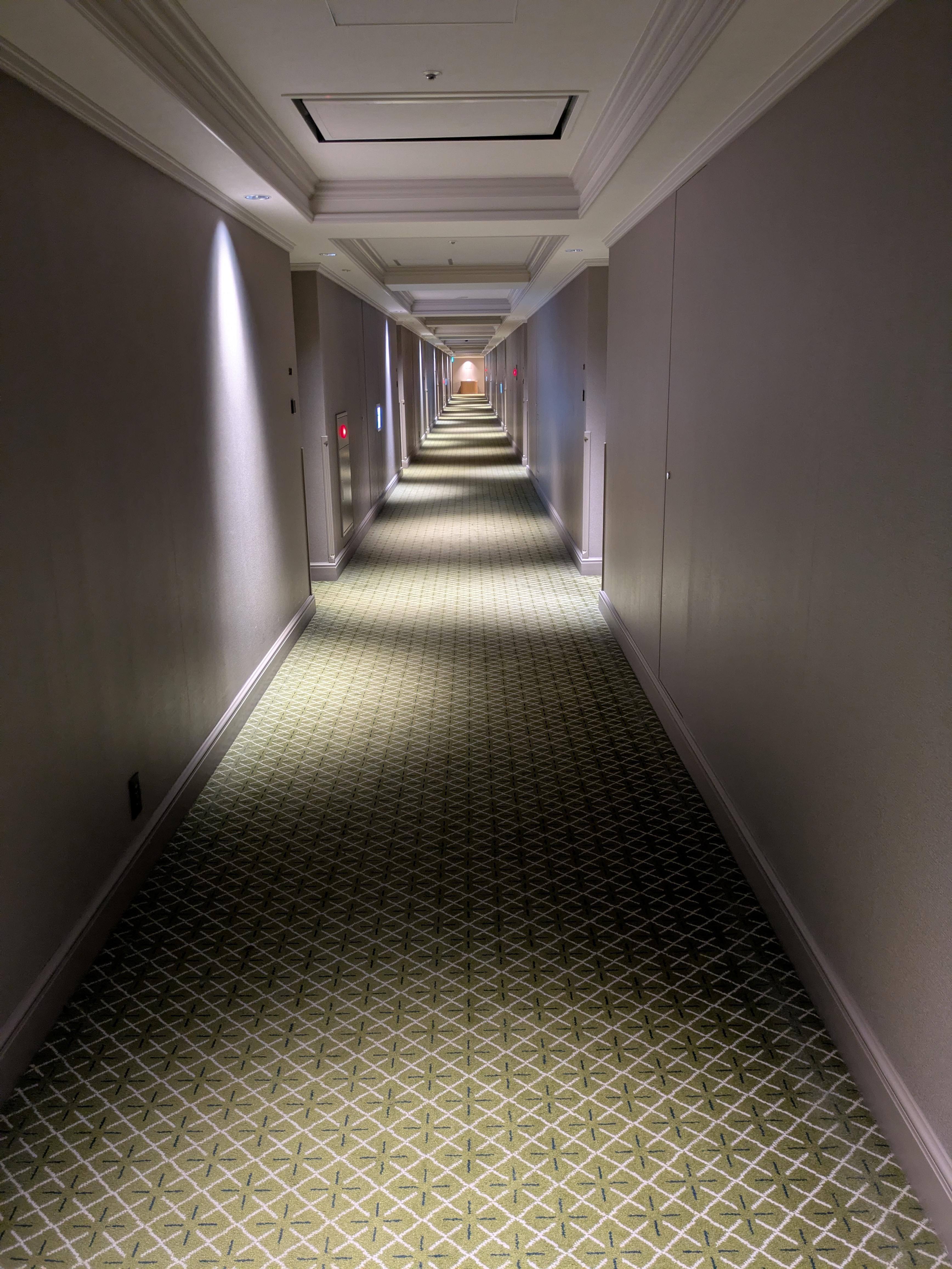 館内めちゃくちゃ広い。これは廊下の一部。まだまだ奥に続いてる(笑)