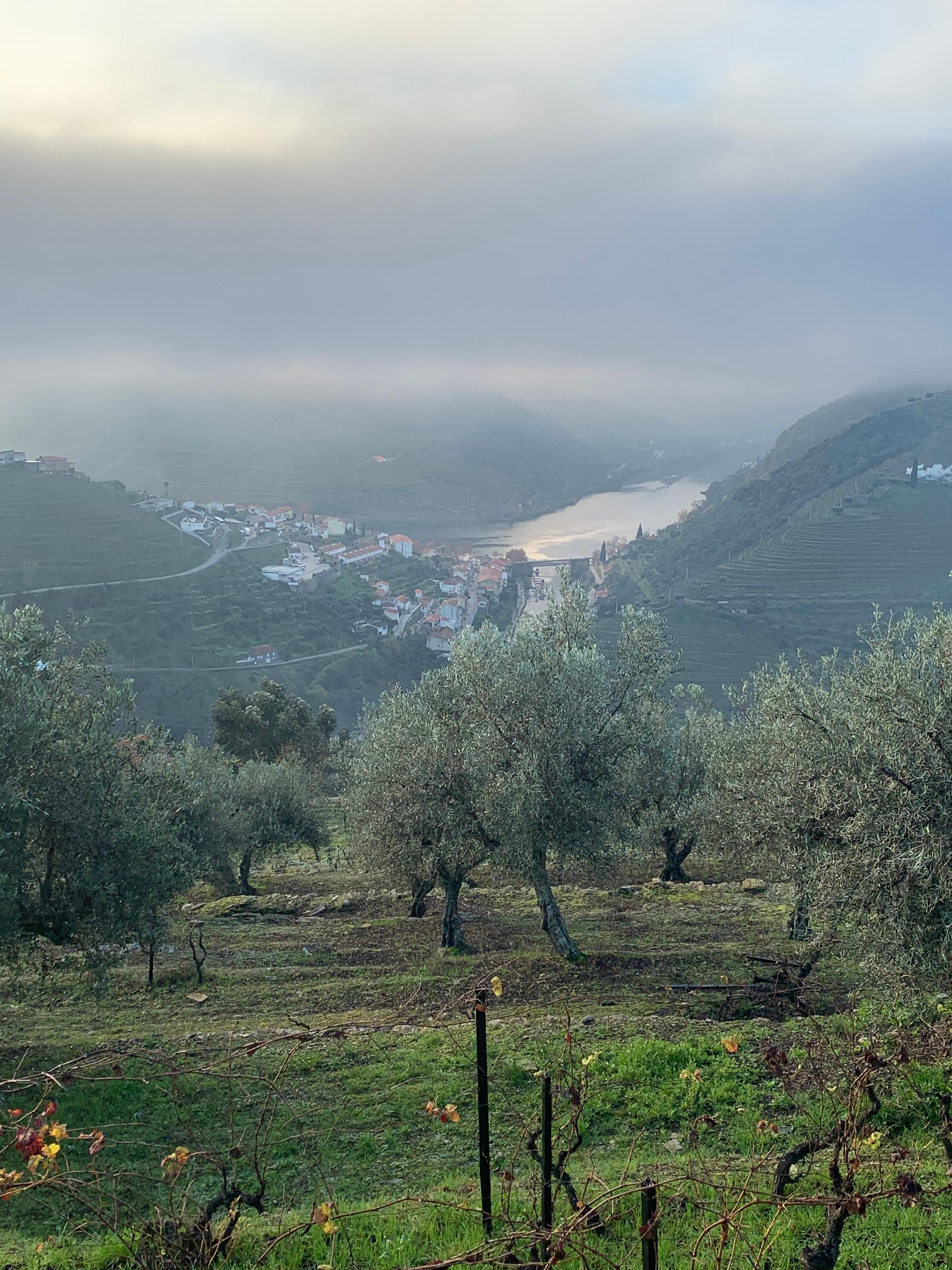 View from Almond Room
