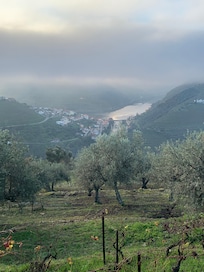 View from Almond Room