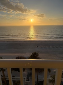 Beautiful 8th floor view