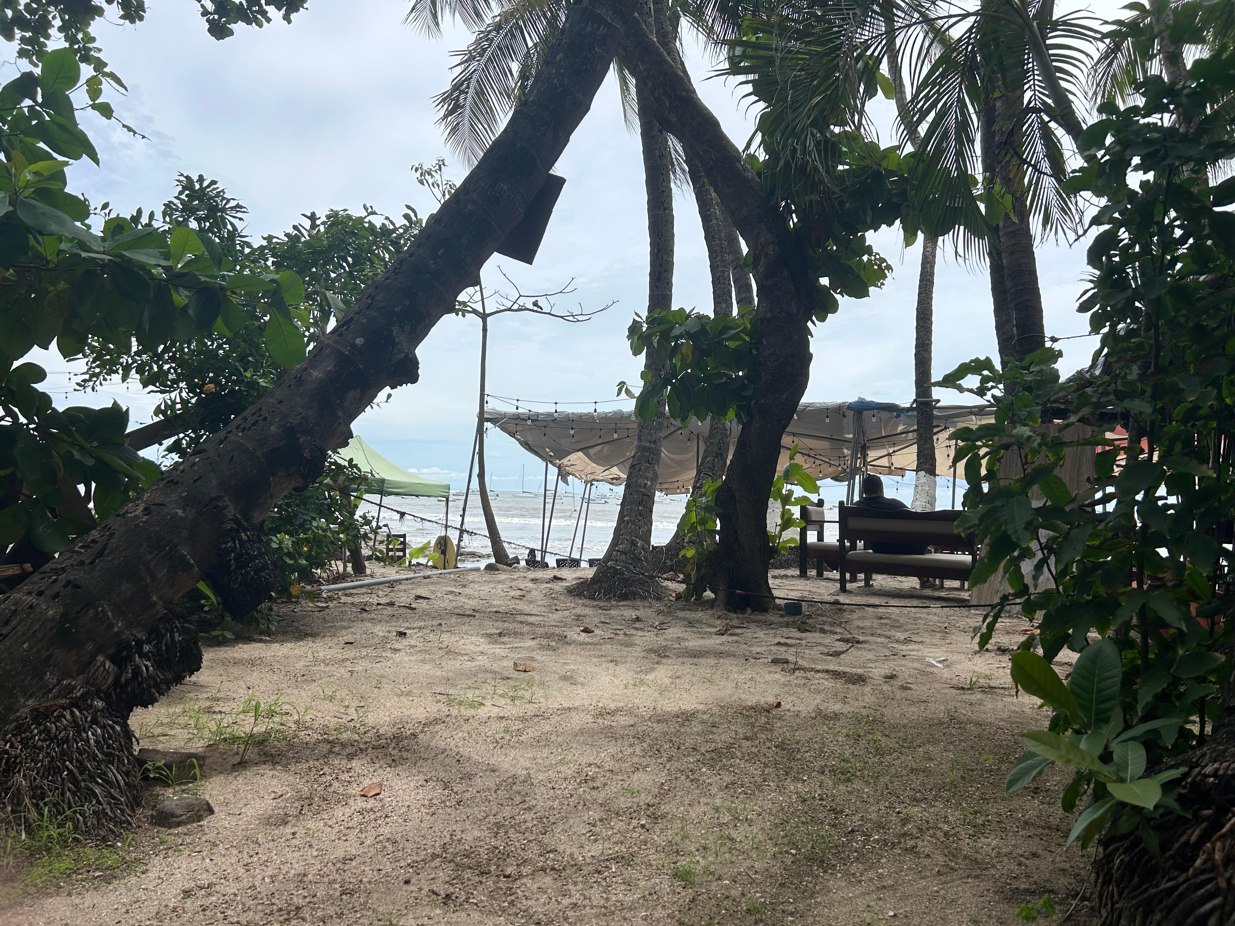 My room view