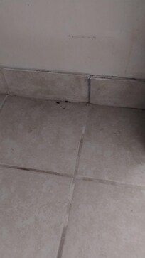 Dead roaches and unkempt floors.