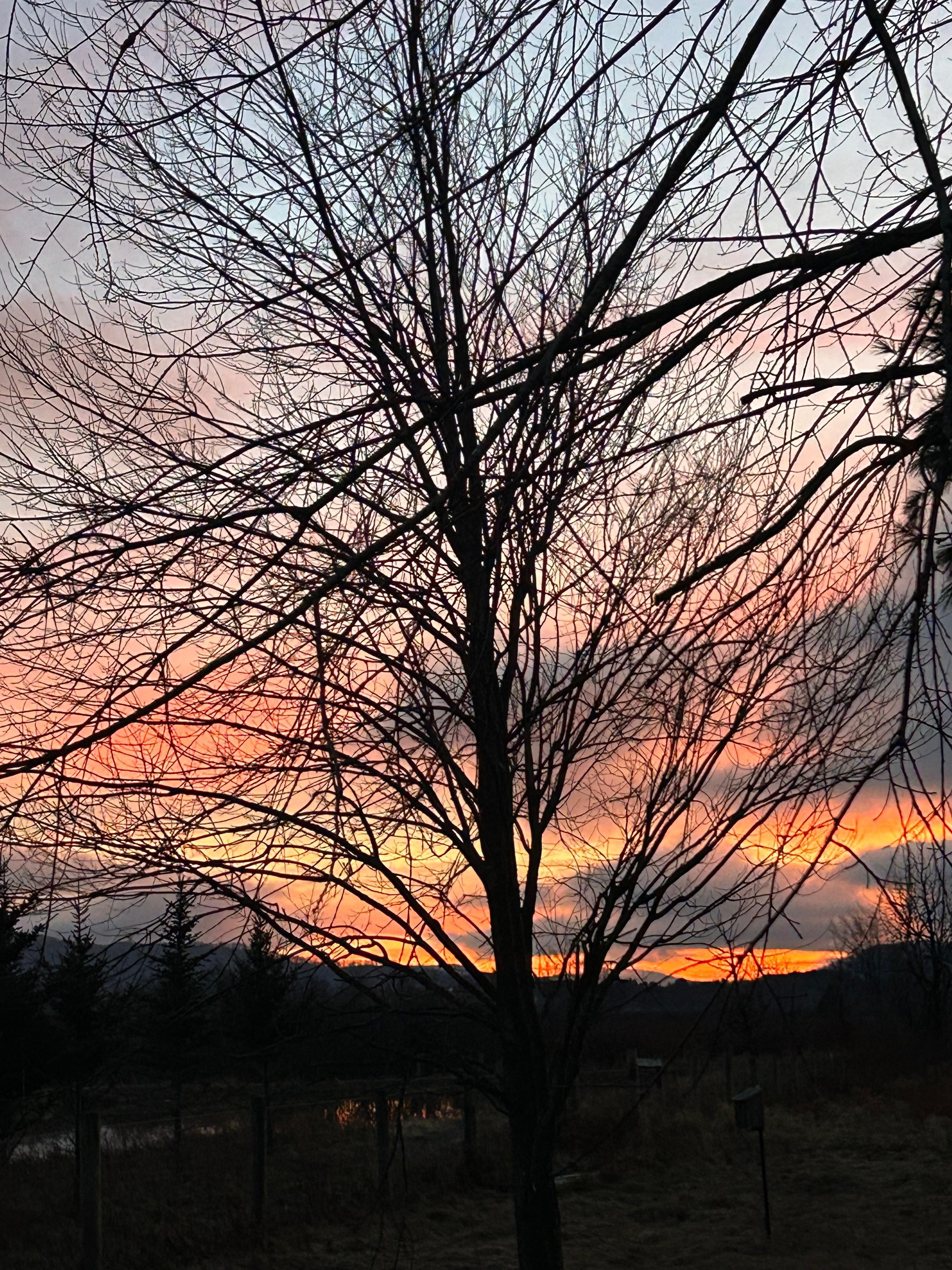 View from family room