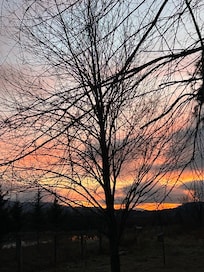 View from family room