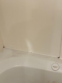 Mold spits around tub