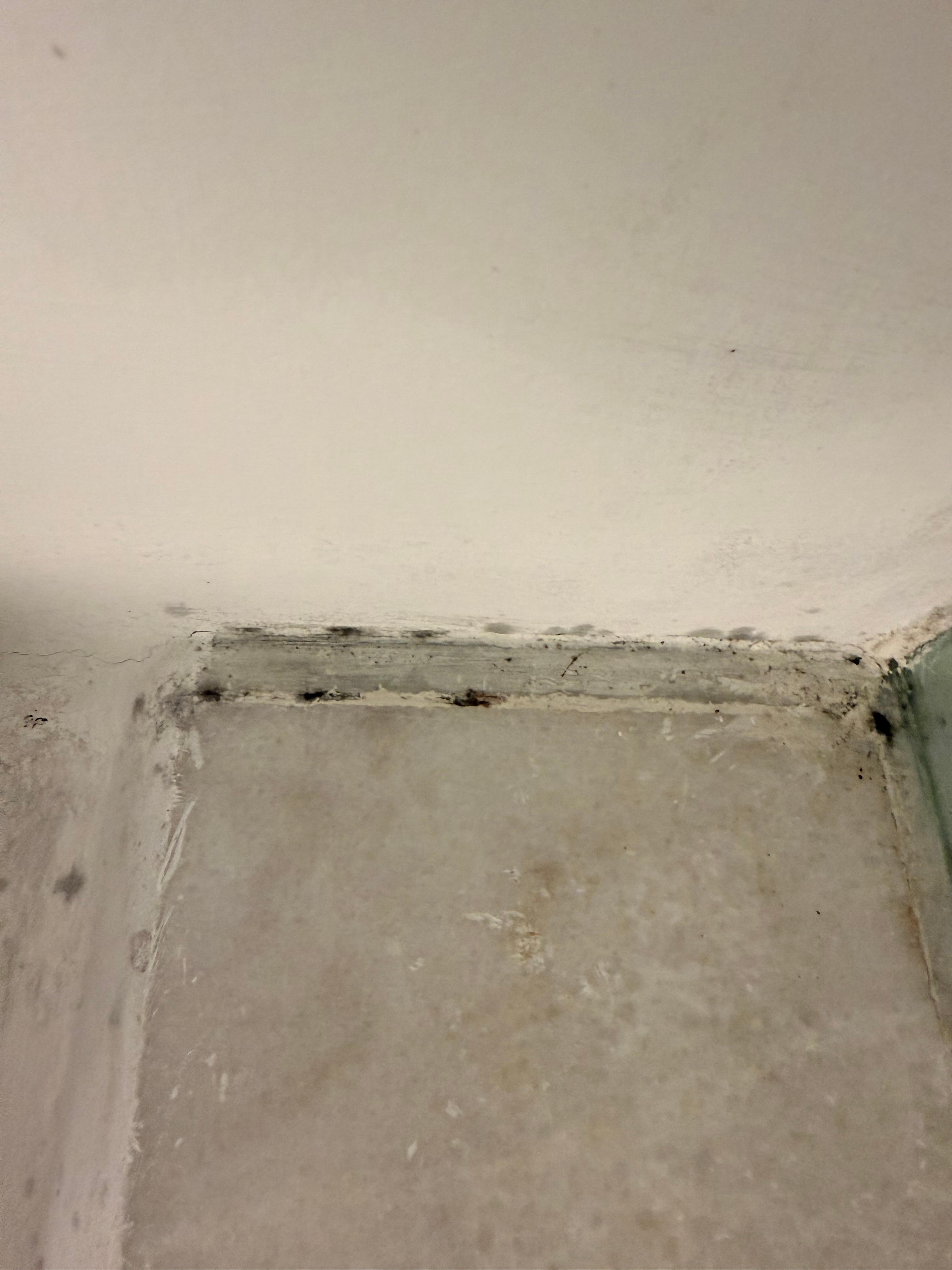 Mold in the bathrooms 