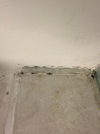 Mold in the bathrooms