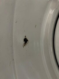 Inside the guest dryer