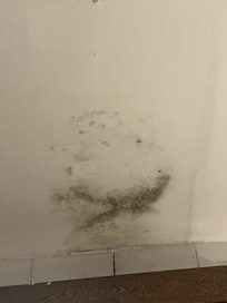 Moldy, dripping ceiling