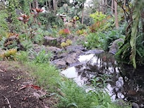 Garden Stream
