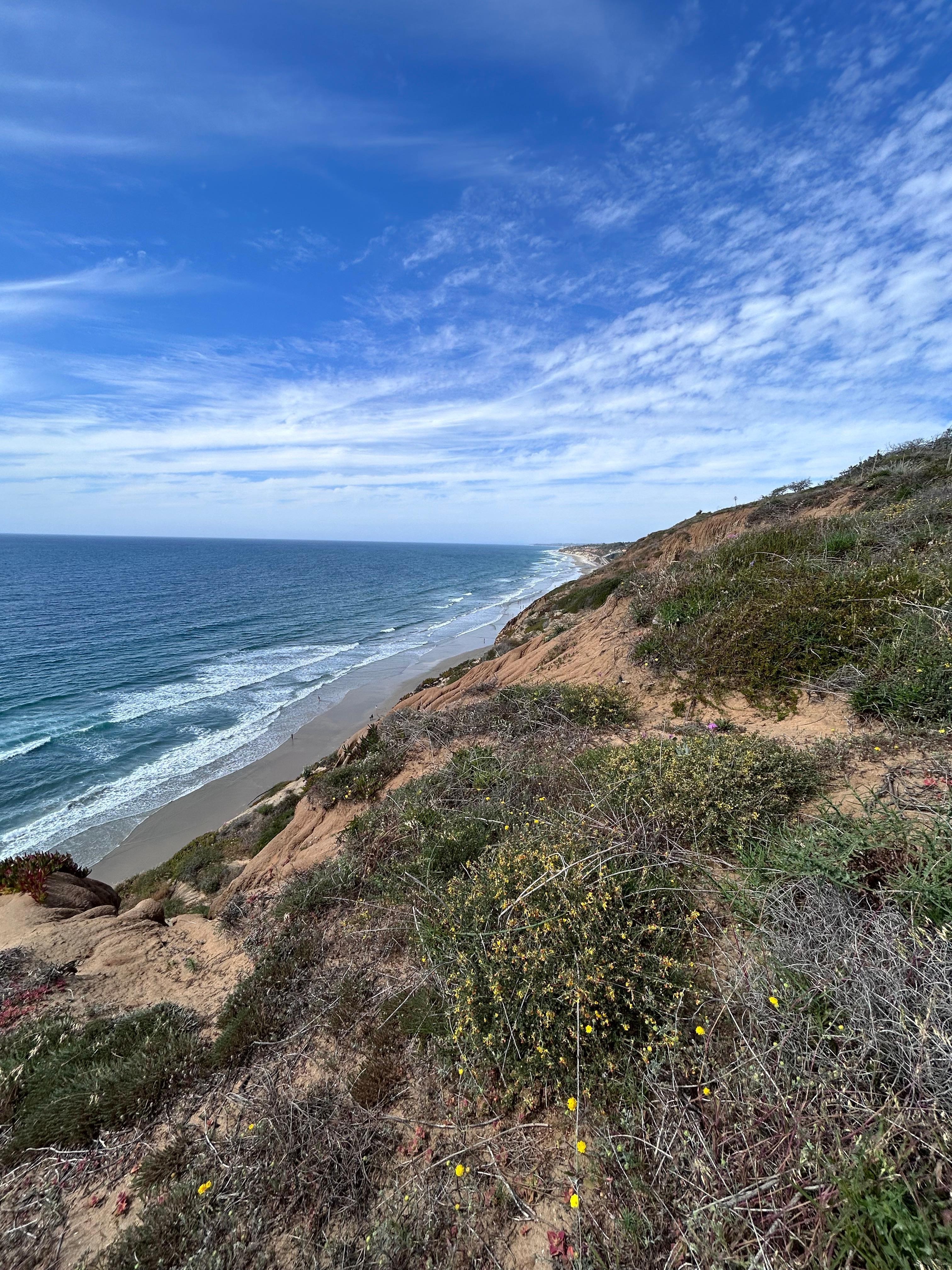 Hiking at the nearby Torrey Pines park