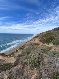 Hiking at the nearby Torrey Pines park