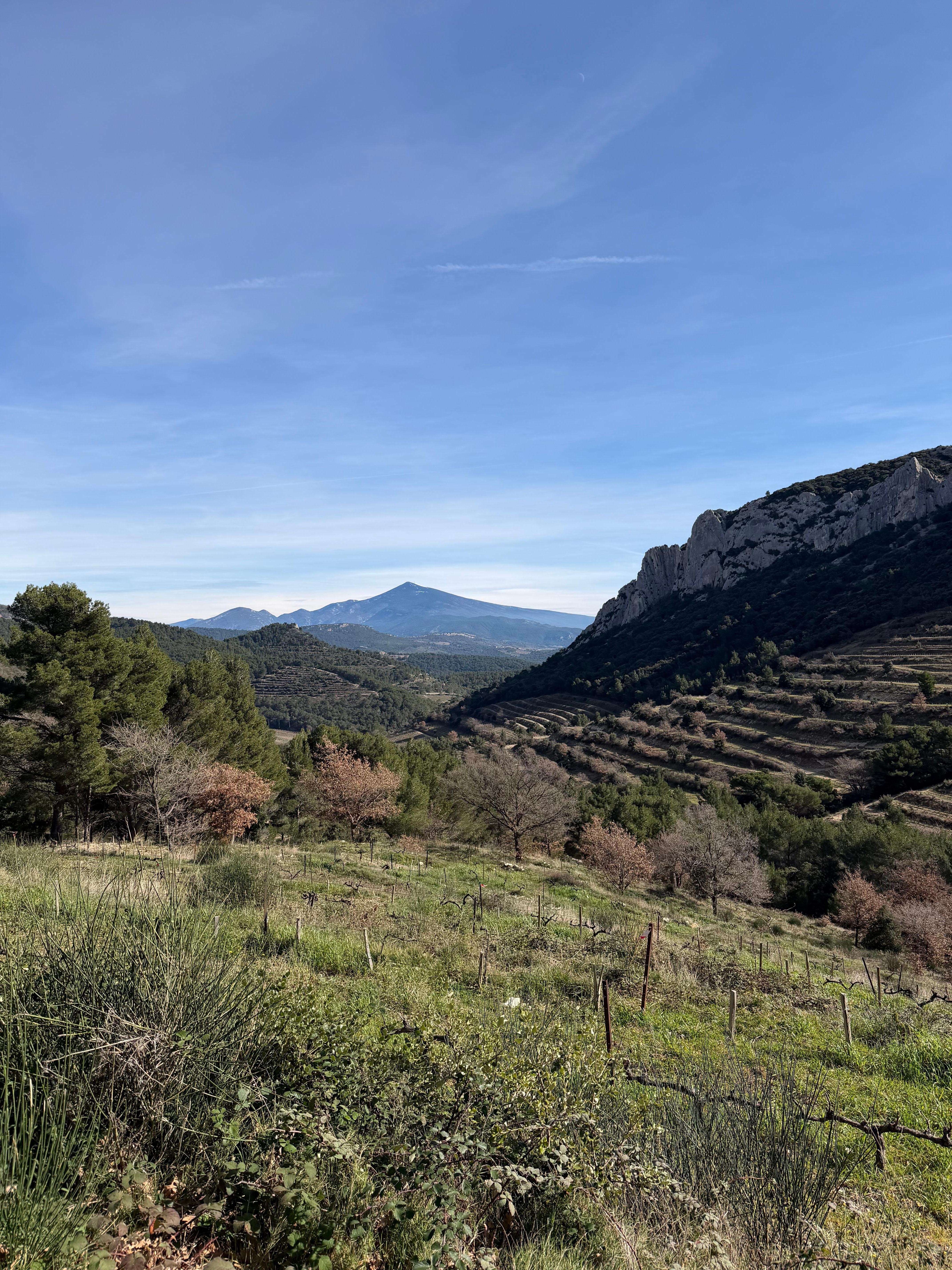 Hiking in the Dentelles de Montmirail - Mont Ventoux