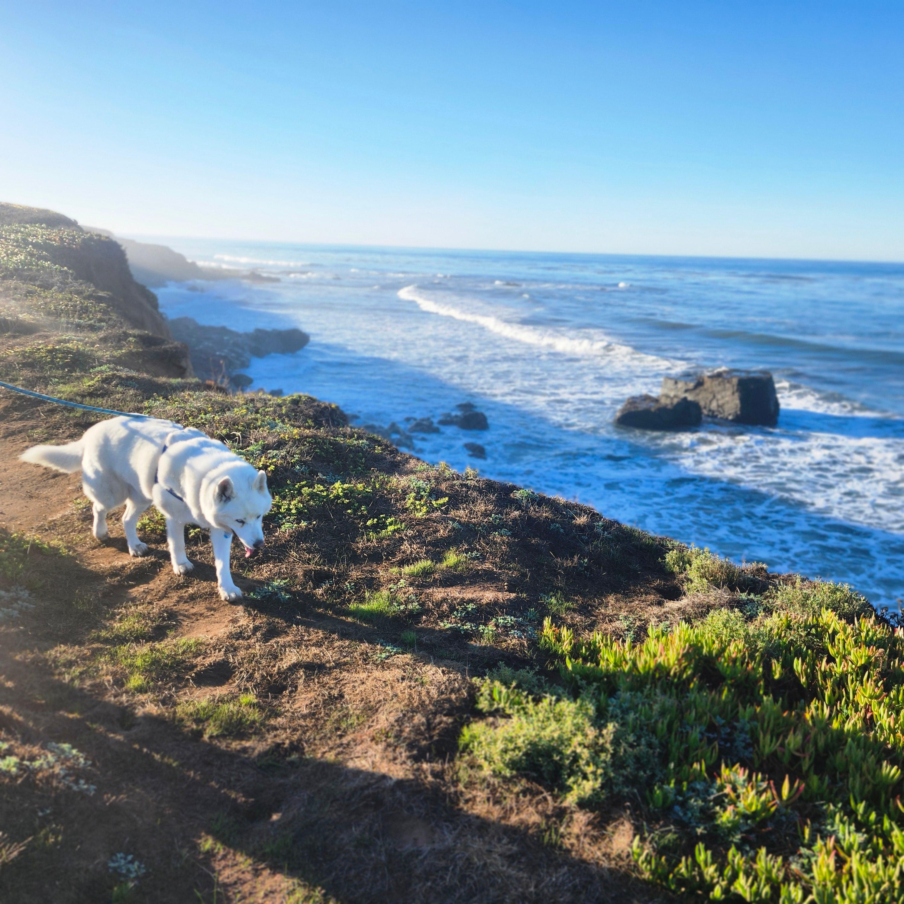 A beautiful walk on the property 