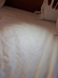 black lines on the laken