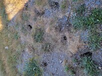 What you get to step through to get inside