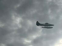 Watching the planes land nd take off from the harbour