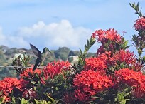 Taken on the grounds of Bayside Villa's property