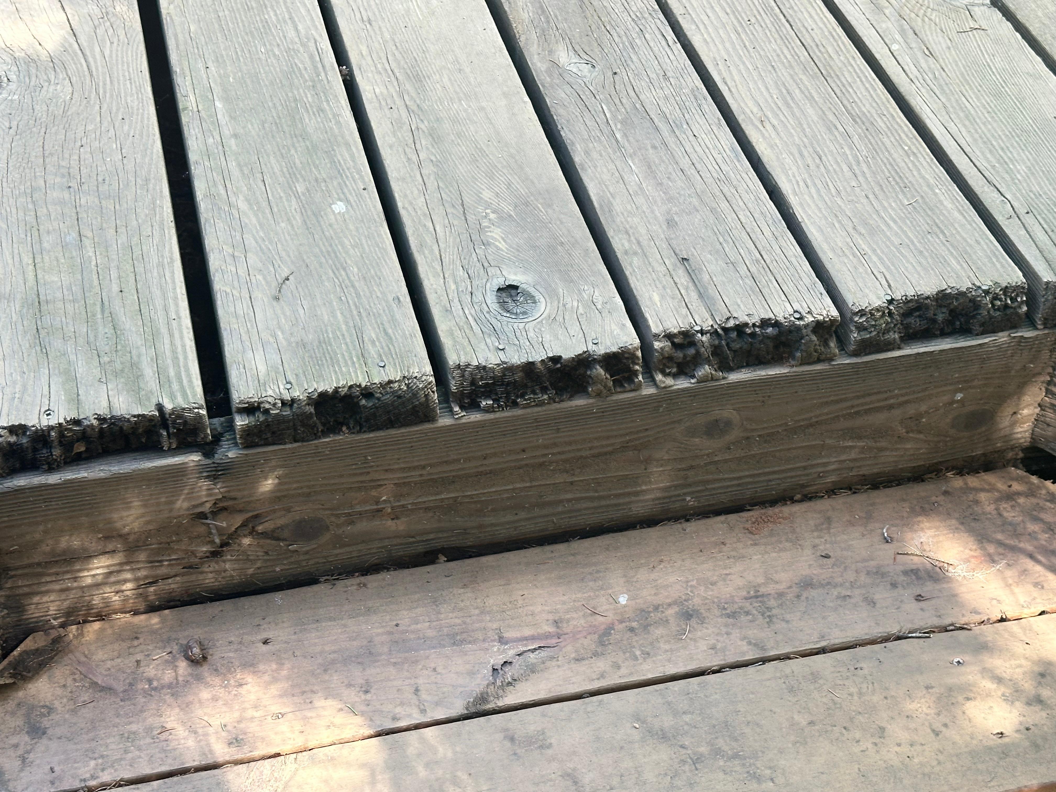 Deteriorating deck planking.
