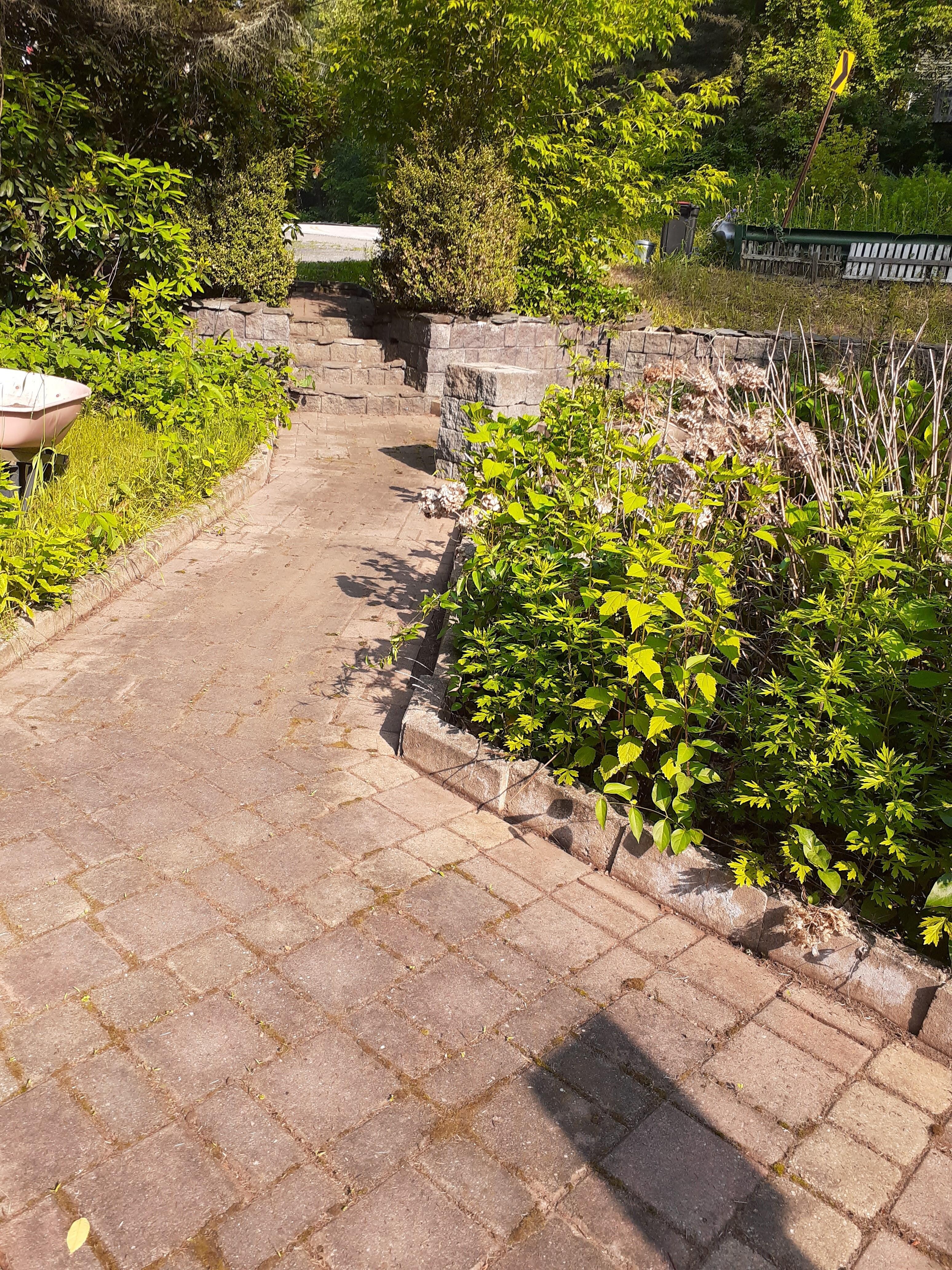 The "Secret Garden" being revealed during our stay. Wish I'd taken a photo on our arrival - unbelievable difference and this was not seen finished!