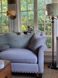 We loved the sun room.