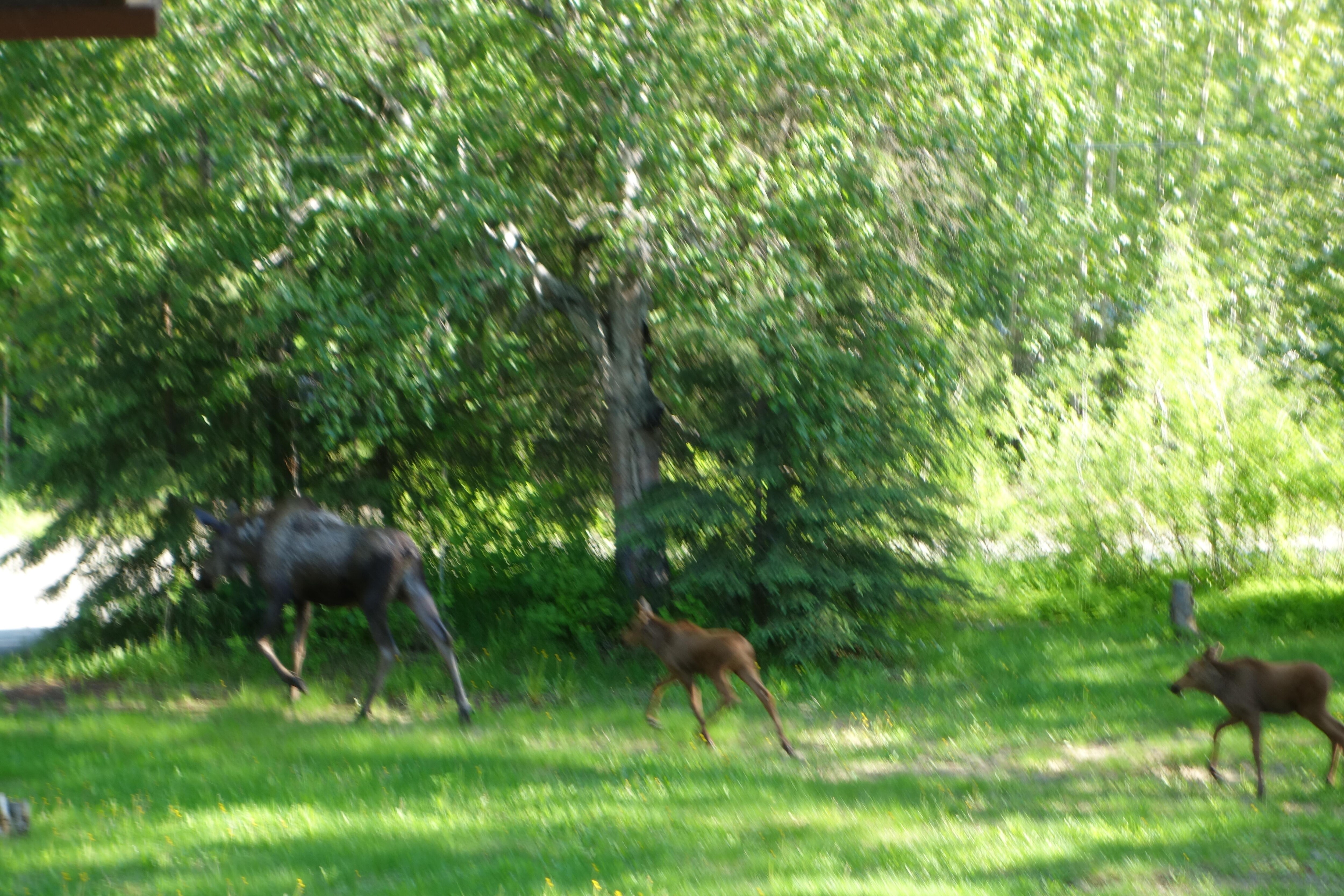 Our visitors.