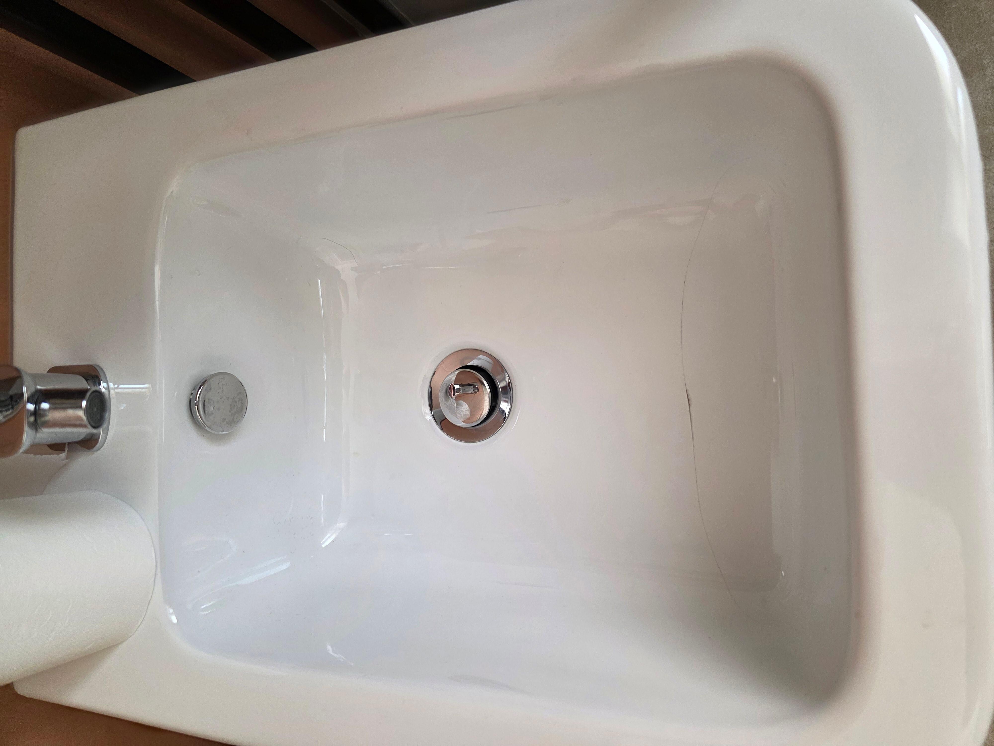 Cracked Bidet