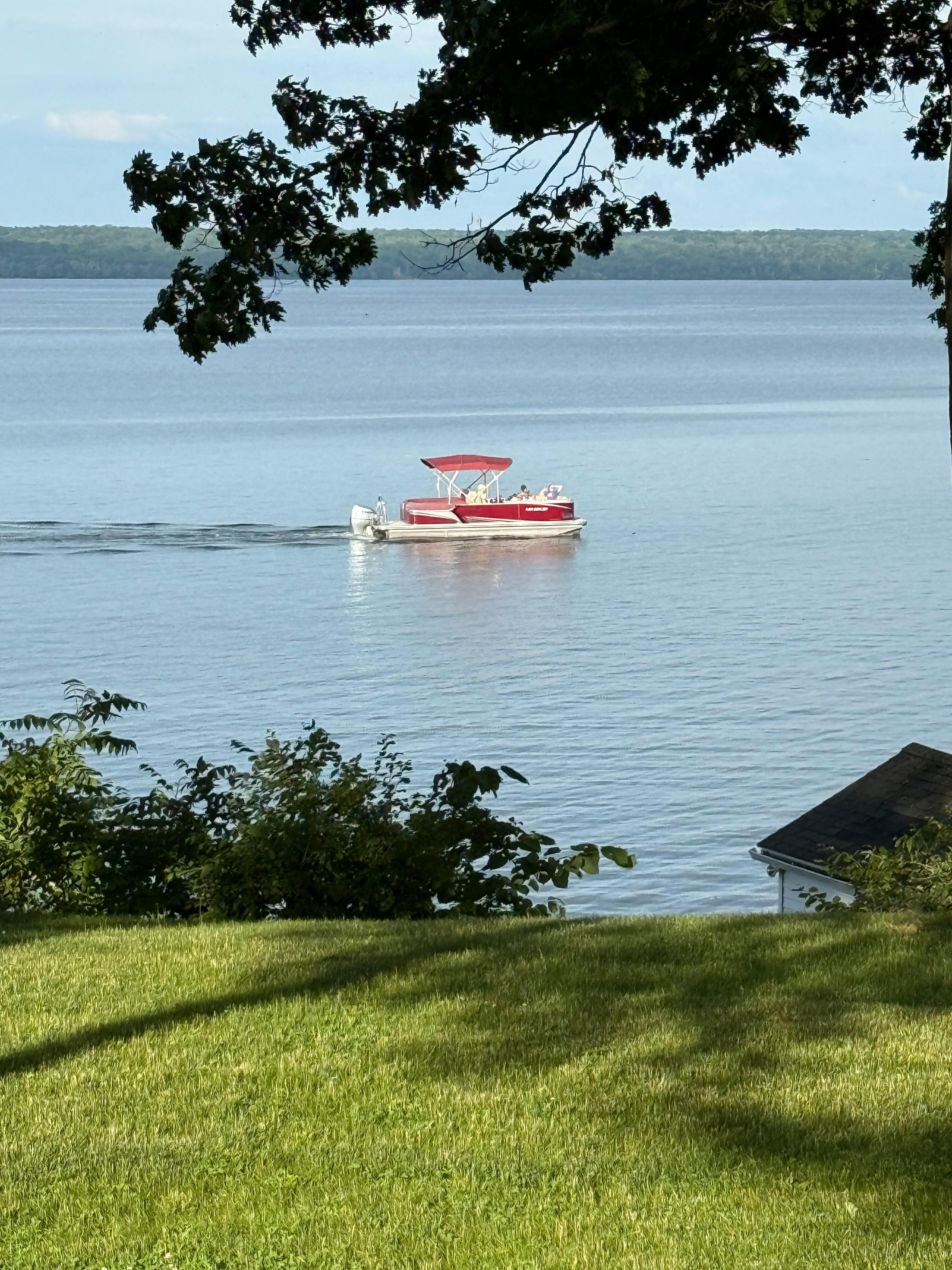 Taken from the yard.