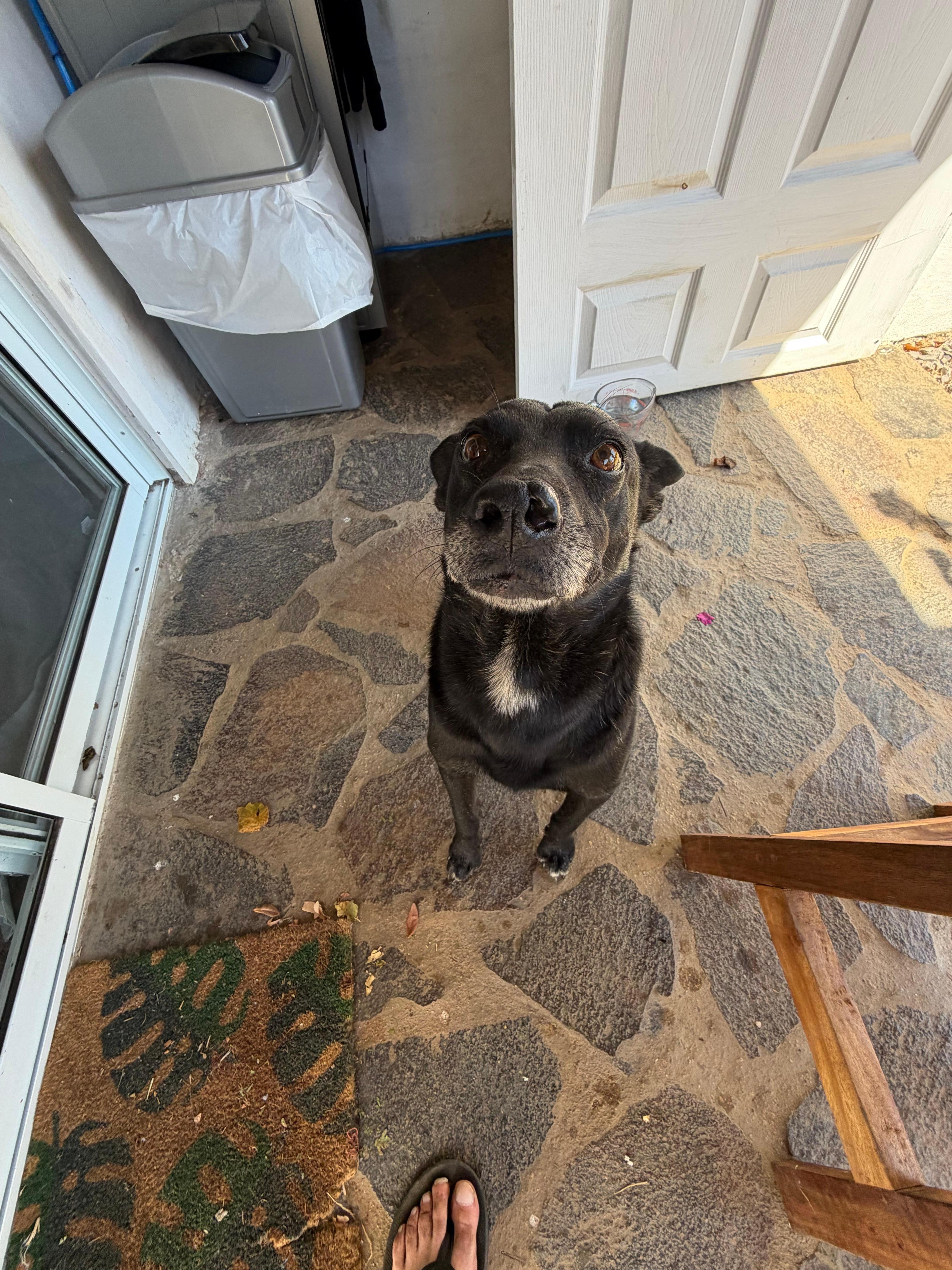 Defender against chupacaubres 