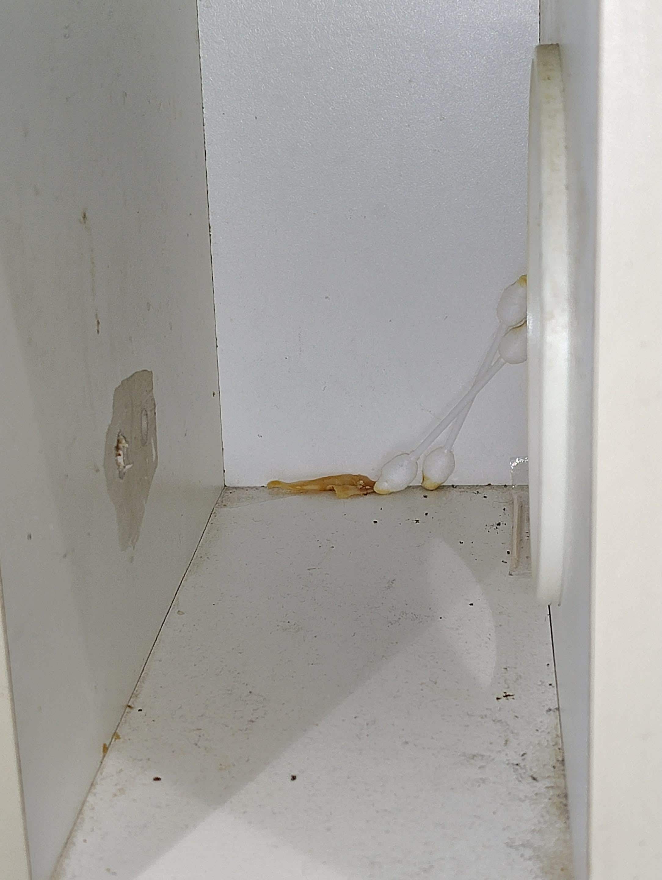 Qtios and dirt in cubbies where towels are kept