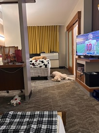 Pooped out pups from our travels.
