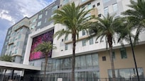 The palm trees greet you in front of the Hotel