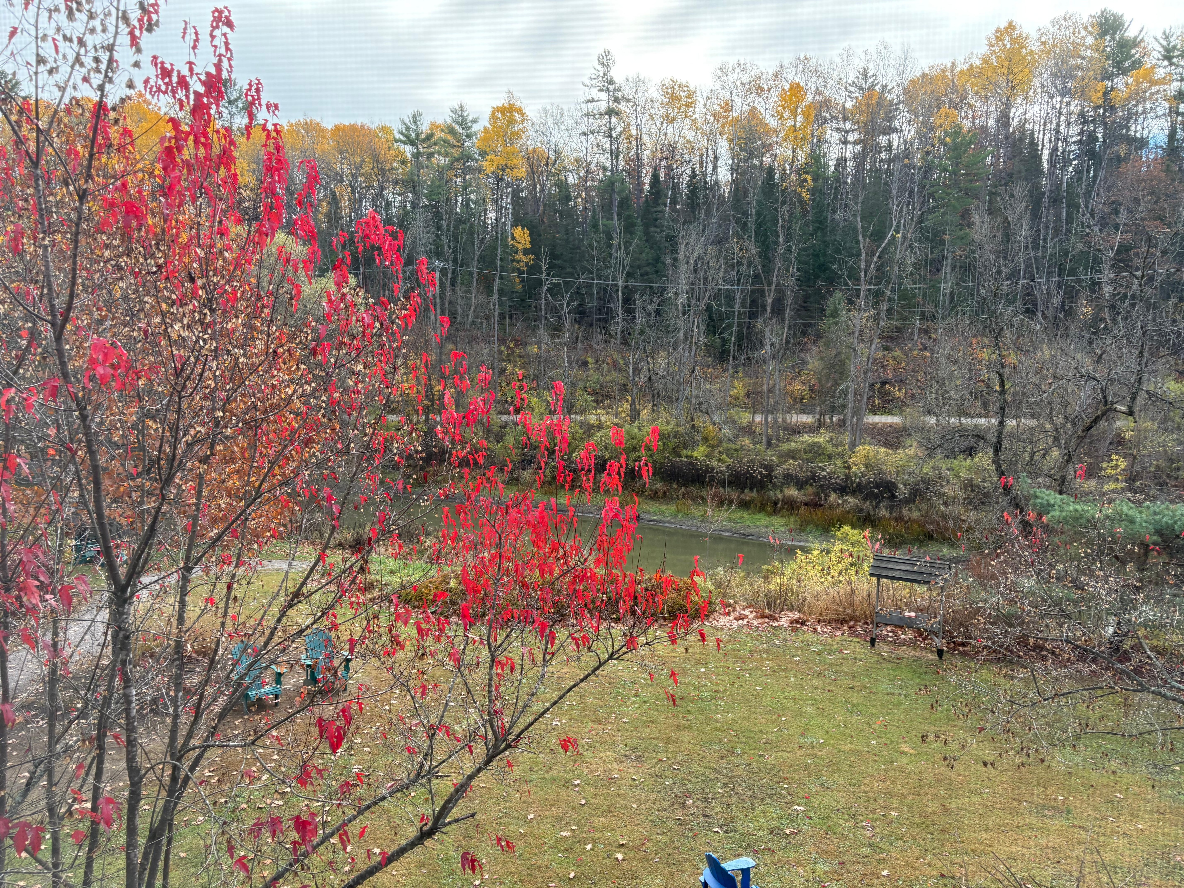 The view from our room at the Eco-Lodge.