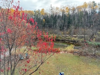 The view from our room at the Eco-Lodge.