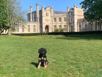 Lovely walk from beach to Highcliffe Castle