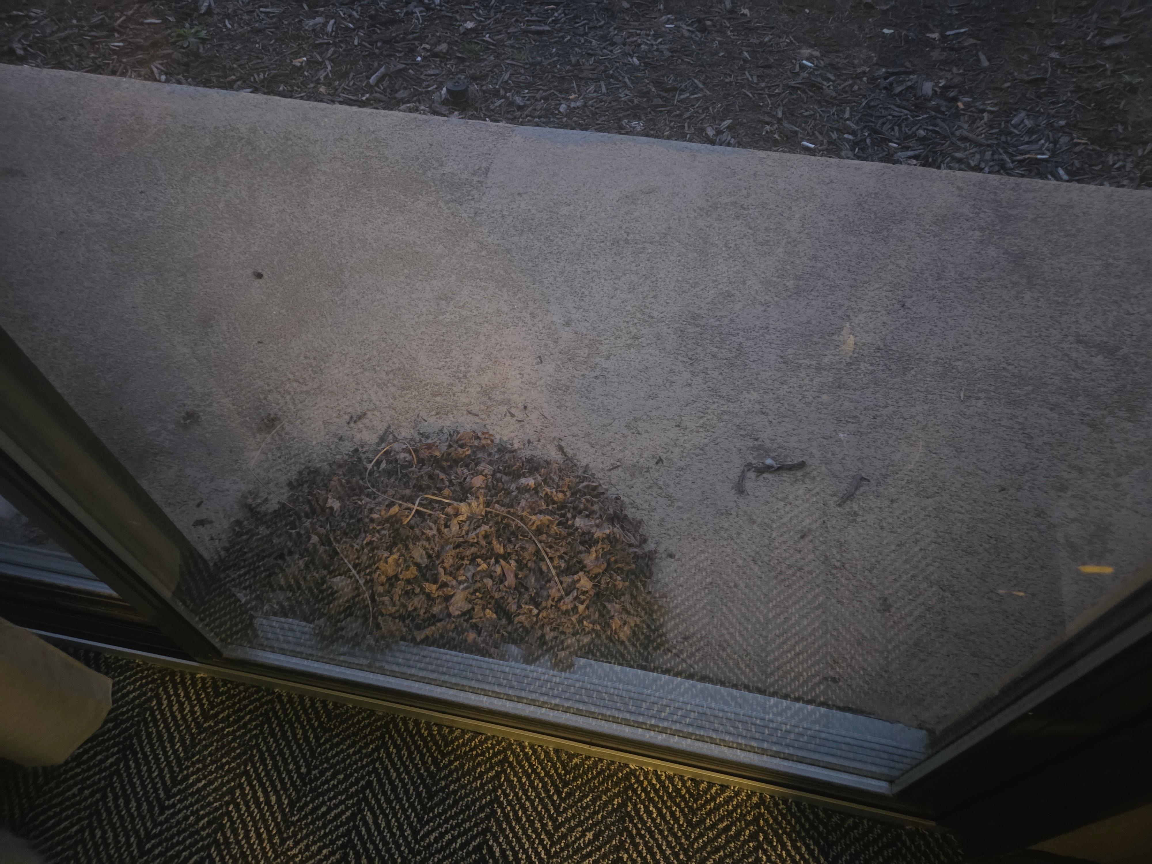 Outside door needed to get swept 