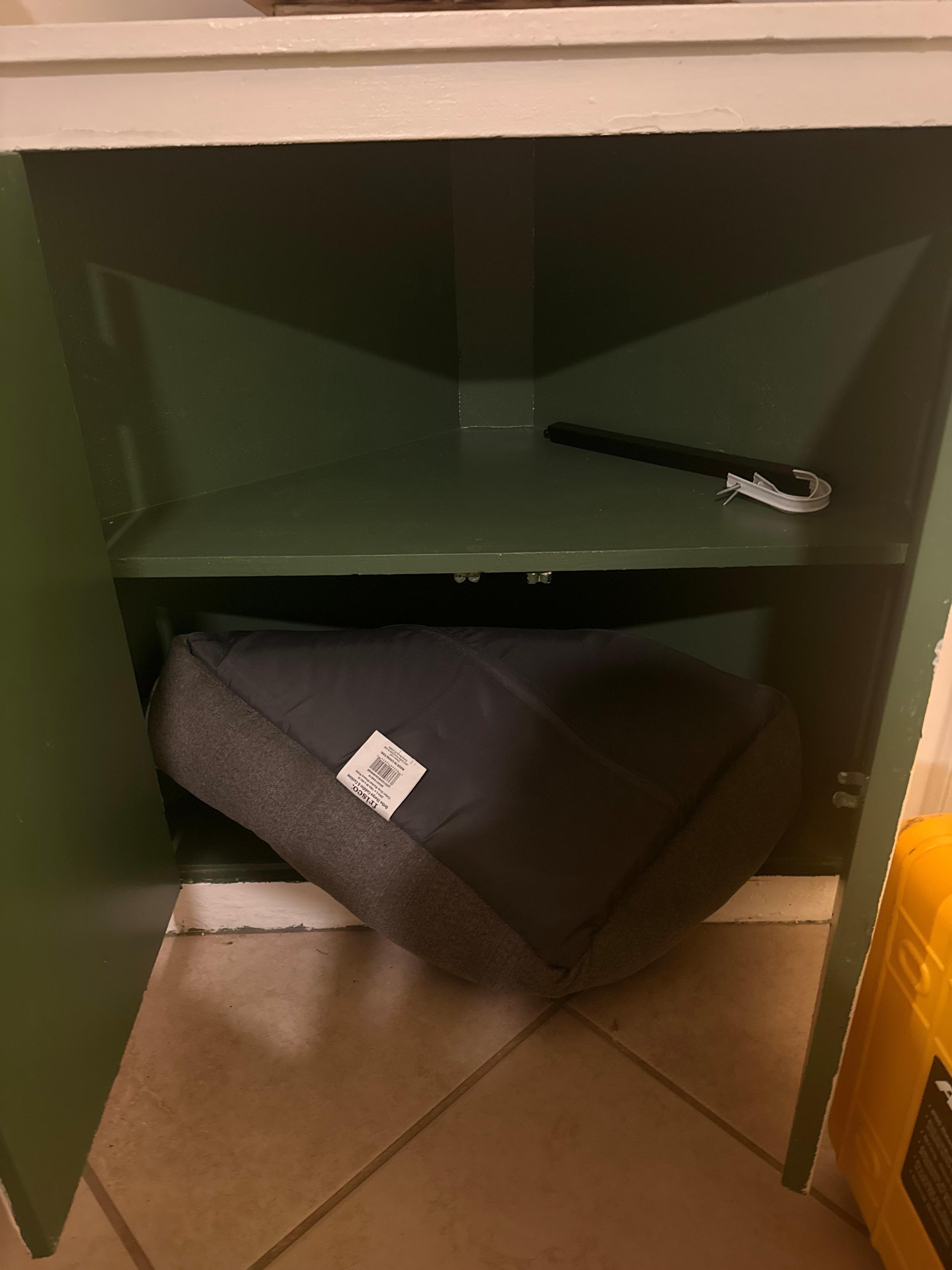 Dog bed when the property is specifically listed as no pets