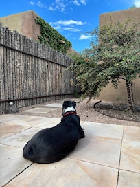 From one end of the L-shaped exterior is a patio table, umbrella and chairs. The other end, around the corner, features comfortable, shaded seating. Our dog had a good time too.