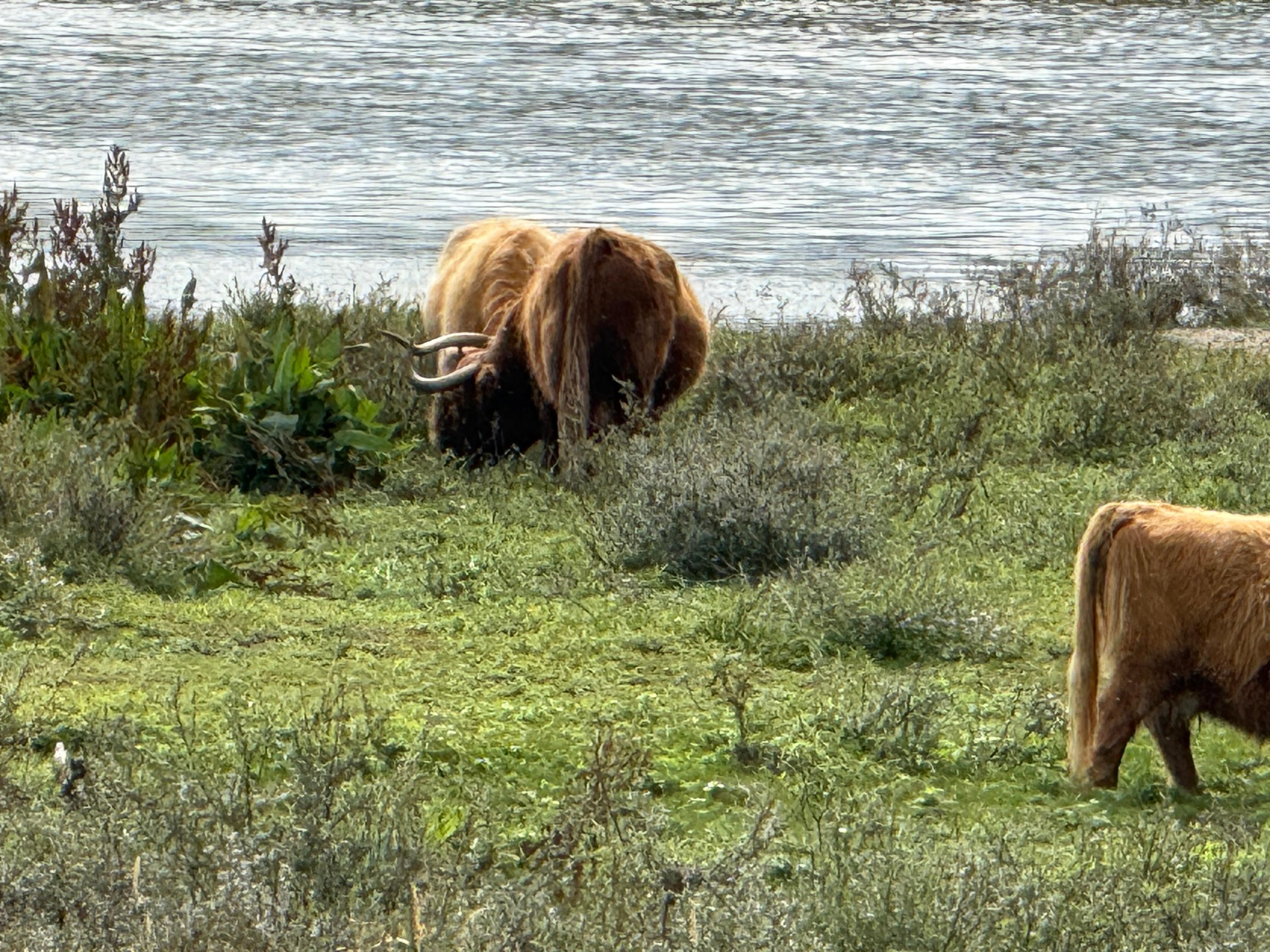 In den Dünen in der Nähe