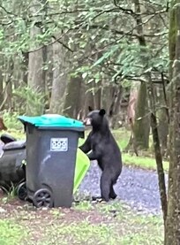Our unexpected breakfast guest 🤭