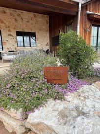 Gorgeous home and property!