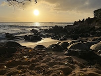 Nightly sunset & turtles