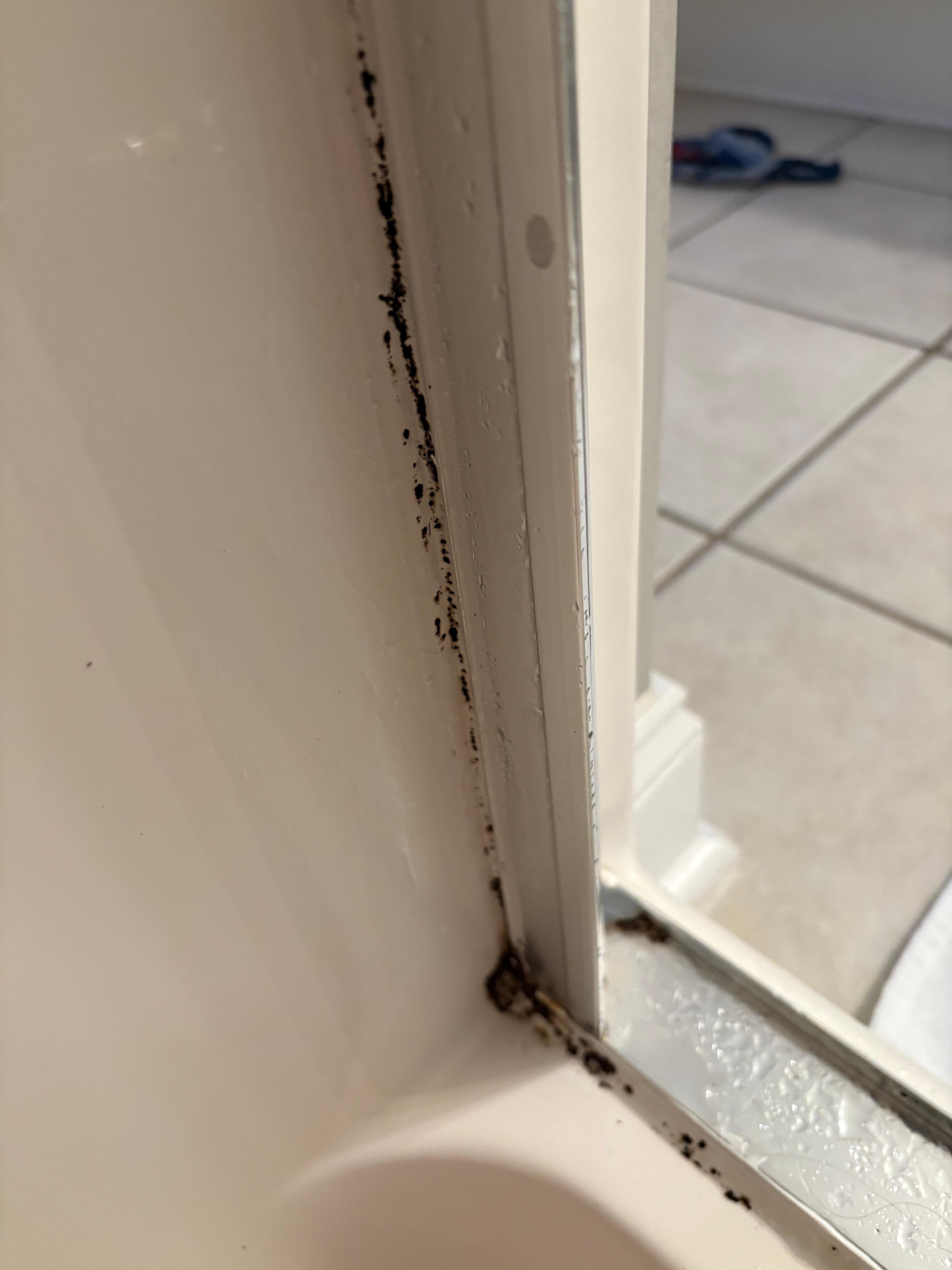 Black mold in all 4 showers