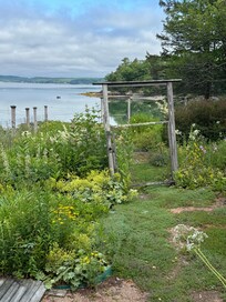Beautiful flower garden