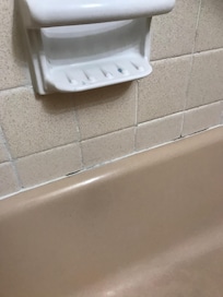 Mold and soap scum in bathroom tub