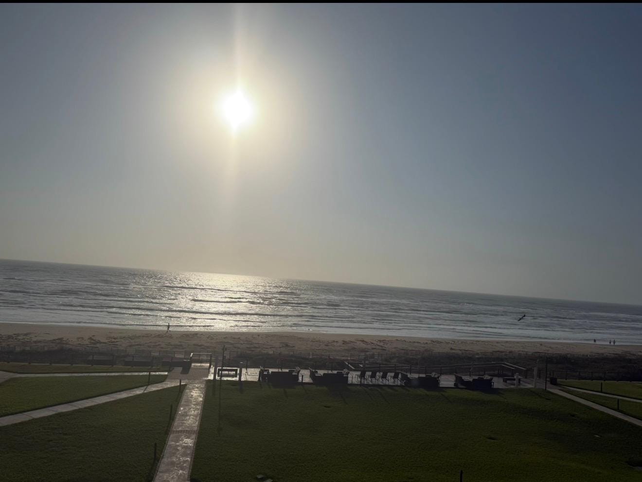 Beautiful Mornings