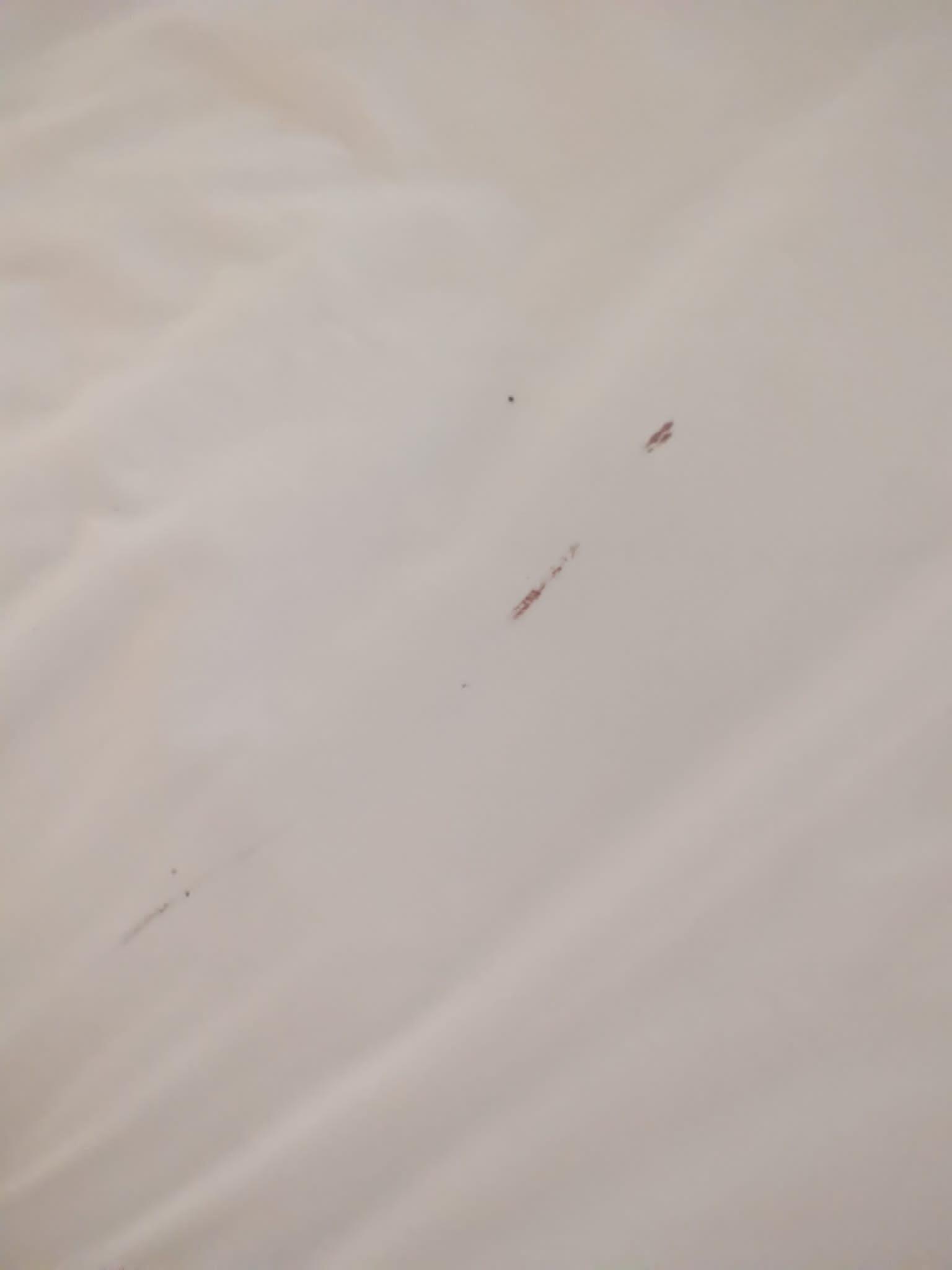 Bed bug blood-stained bed sheeets at Cormoran Hotel, Tulum