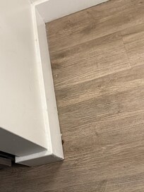 Cockroach