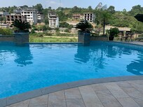 Pool views